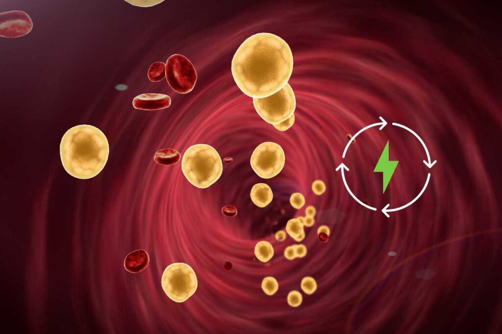 Colesterolo che sale con l’età: il fattore che incide di più