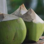 Un bicchiere di acqua di cocco fresca con una cannuccia, sullo sfondo di una natura verde e rigogliosa.