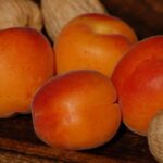 Albicocche fresche su un tavolo, simbolo di salute e benessere per il colesterolo.